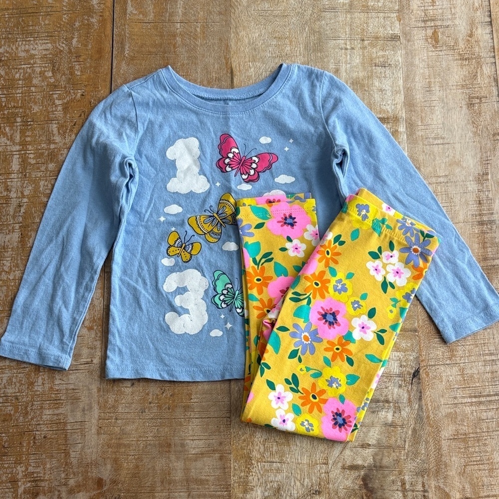 NWOT Butterfly Top and Floral Leggings Set 4t